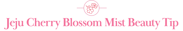 Jeju Cherry Blossom Mist Beauty Tip